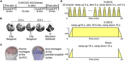 The Infraslow Frequency Oscillatory Transcranial Direct Current Stimulation Over the Left Dorsolateral Prefrontal Cortex Enhances Sustained Attention